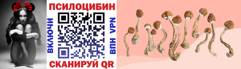 Псилоцибиновые грибы ЛСД  Светлогорск 